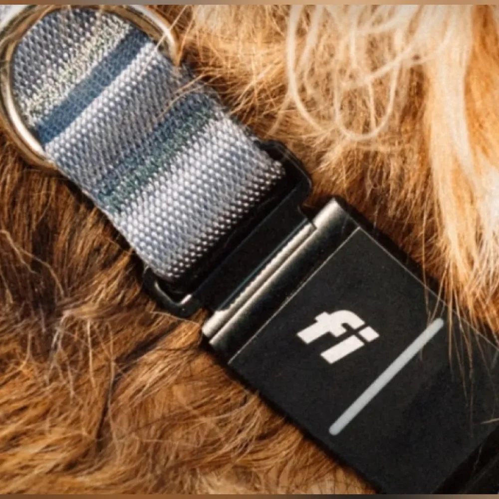 Fi FIRE! NIB! Series 3+ Smart Dog Collar Kit in Gray. Sz XS. R2S!!